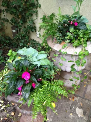 B. Gardening Landscape Design - Landscape Design in Denver, CO