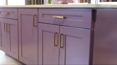 Dayton Violet Enthusiasm Kitchen by Mint Construction