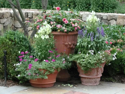 Back to Nature Home & Garden - Garden Remodeling in Basking Ridge, NJ