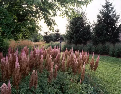 Back to Nature Home & Garden - Garden Remodeling in Basking Ridge, NJ