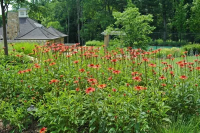 Back to Nature Home & Garden - Garden Remodeling in Basking Ridge, NJ