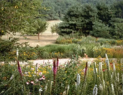 Butterfly Meadows — Landscape Design project by Back To Nature Home & Garden