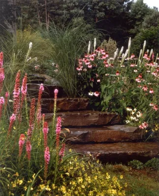 Back to Nature Home & Garden - Garden Remodeling in Basking Ridge, NJ
