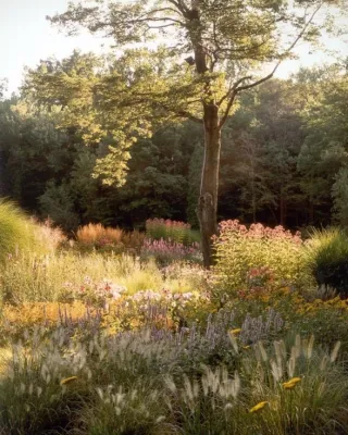 Wildflower Meadow — Landscape Design project by Back To Nature Home & Garden