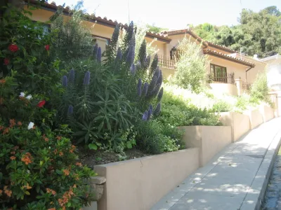 Studio H2O - Garden Remodeling in Los Angeles, CA