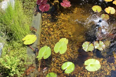 Studio H2O - Garden Remodeling in Los Angeles, CA
