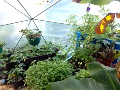 Greenhouses & Cold Frames — Landscape Design project by Backyard Revolutions in Littleton