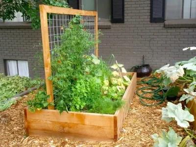 Bed Gardening Projects — Landscape Design project by Backyard Revolutions in Denver
