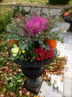 Sundown Gardens - Garden Remodeling in Westfield, IN