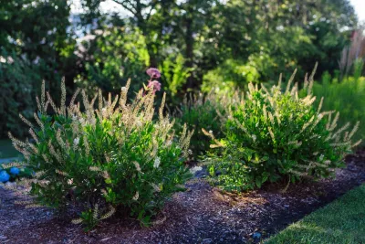 Sunflower Designs LLC - Garden Remodeling in Bristol, RI