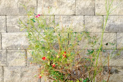 Balitano Contracting Co Inc. - Retaining Wall Construction in Fort Lee, NJ