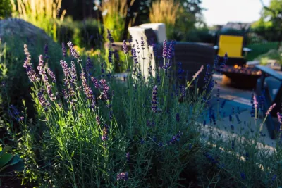 Sunflower Designs LLC - Garden Remodeling in Bristol, RI