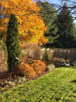 Sunflower Designs LLC - Garden Remodeling in Bristol, RI