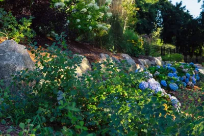 Sunflower Designs LLC - Garden Remodeling in Bristol, RI