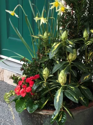Sunrise Container Design - Garden Remodeling in Seattle, WA