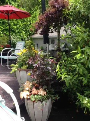 Sunrise Container Design - Garden Remodeling in Seattle, WA