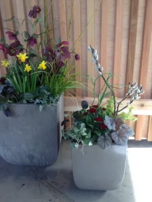 Sunrise Container Design - Garden Remodeling in Seattle, WA