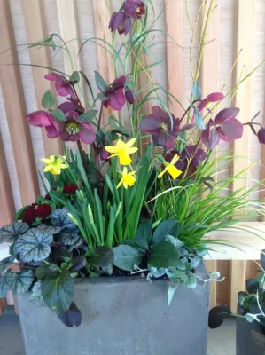 Sunrise Container Design - Garden Remodeling in Seattle, WA