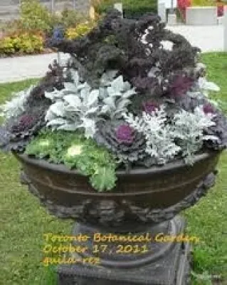 Sunrise Container Design - Garden Remodeling in Seattle, WA