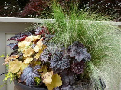 Sunrise Container Design - Garden Remodeling in Seattle, WA