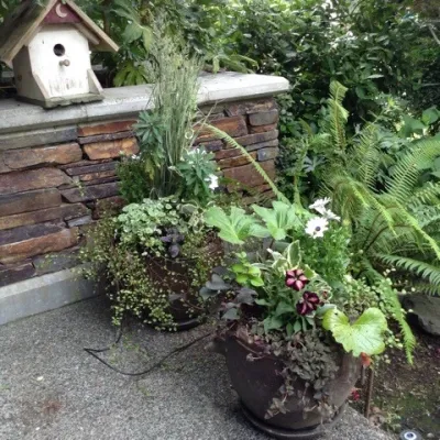Sunrise Container Design - Garden Remodeling in Seattle, WA