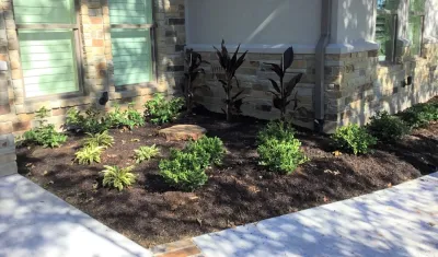 Complete Design, Clearing, Irrigation, Landscaping, and Sod — Landscape Design project by Sunrise Landscapes