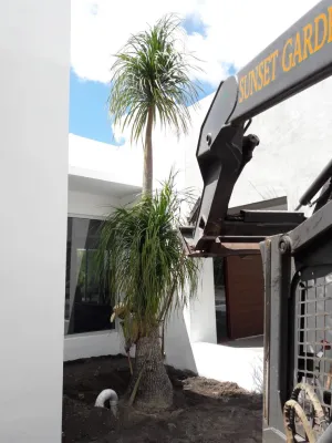 Sunset Gardens Inc. - Landscape Design in Miami, FL