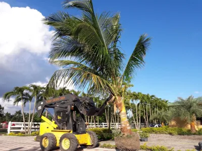 Another home in West Kendall — Landscape Design project by Sunset Gardens Inc.