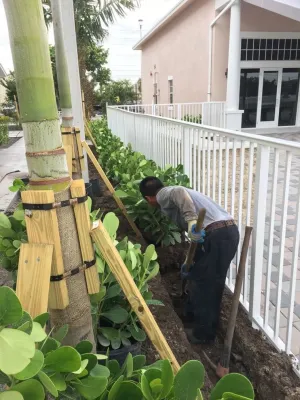 Broward County: Oakland — Landscape Design project by Sunset Gardens Inc.