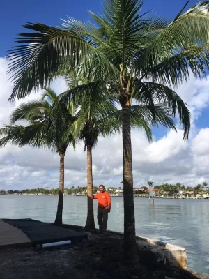 Miami Beach — Landscape Design project by Sunset Gardens Inc.