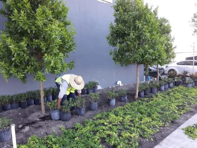 Sunset Gardens Inc. - Landscape Design in Miami, FL