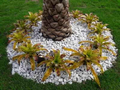 Sunset Gardens Inc. - Landscape Design in Miami, FL