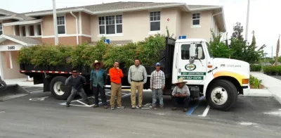 Sunset Gardens Inc. - Landscape Design in Miami, FL