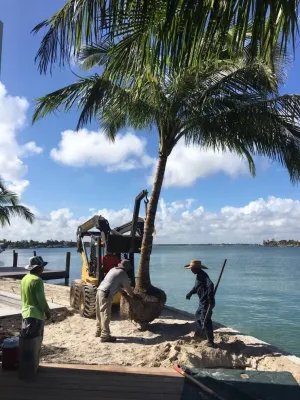 Sunset Gardens Inc. - Landscape Design in Miami, FL