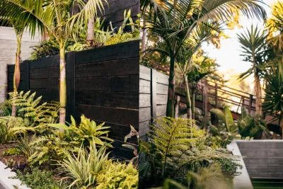 Mitti — Landscape Design project by Sweet Smiling Landscapes