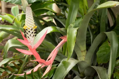 Sweet Smiling Landscapes - Garden Remodeling in Santa Barbara, CA