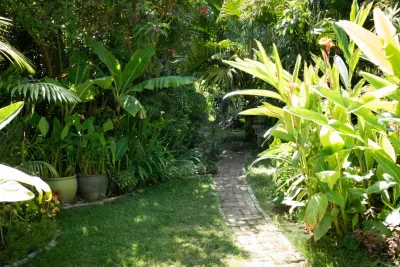 Willetta Ave. — Landscape Design project by Sweet Smiling Landscapes in Los Angeles