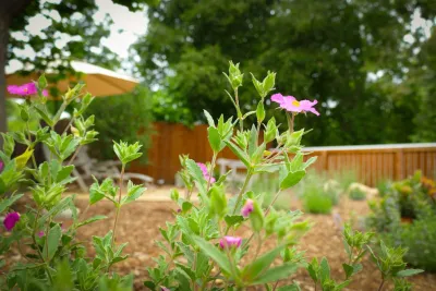 Back Yard Bliss by Sweet Smiling Landscapes