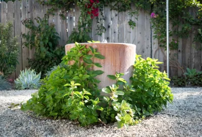 Contemporary Food Forest by Sweet Smiling Landscapes