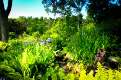 Sweetbay Landscape Design - Outdoor Lighting Installation in East Hampton, NY