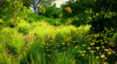 Sweetbay Landscape Design - Outdoor Lighting Installation in East Hampton, NY