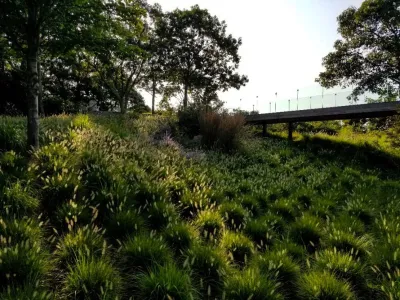 Sweetbay Landscape Design - Outdoor Lighting Installation in East Hampton, NY