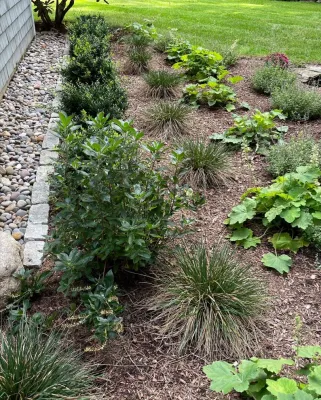 Sweetgum Horticulture - Patio Design & Installation in Natick, MA
