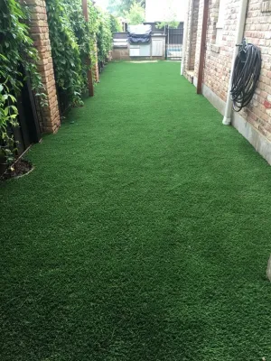 Pet yards and Dog Runs — Landscape Design project by SYNLawn Oklahoma