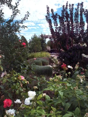 T Barnabas Kane - Garden Remodeling in Leadville, CO