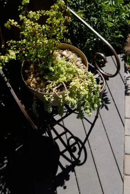 T Barnabas Kane - Garden Remodeling in Leadville, CO