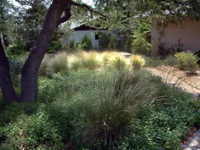 T Barnabas Kane - Garden Remodeling in Leadville, CO