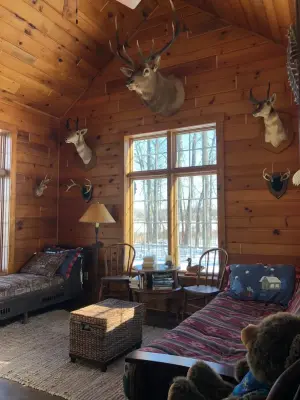 Eller Project — Home Renovation & Remodeling Services project by Pete's Cabin Care & Remodel