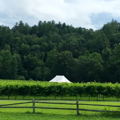 Blue Ridge Mountain Rustic Homes - Custom Home Builders in Ellijay, GA
