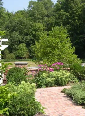 Takumi Design - Irrigation System Repair in Bergenfield, NJ
